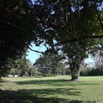 Ronald Serrano - Instagram Profile Picture of Ronald Serrano (@velizerobolina) on Instagram