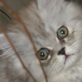 Profile Picture of Cath Meurot (@cath.meurot) on Facebook