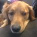 Profile Picture of Chris Langer (@chris.langer.737001) on Facebook