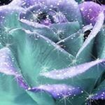 Profile Picture of Sherri Kramer DeLeon (@deleonsherri) on Instagram