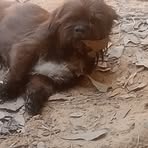 Profile Picture of James England (@james.england.38910) on Facebook