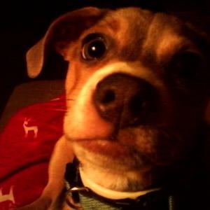 Deborah Ricker - Twitter Profile Picture of Deborah Ricker (@boop_deborah) on Twitter