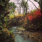 Profile Picture of Jeremy Drexler (@drex2126) on Instagram