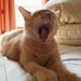 Profile Picture of Brian Twilley (@briantwilley92) on Pinterest