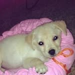 Profile Picture of Timothy Lee Bailey (@bailey.timothy) on Instagram