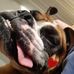 Profile Picture of Everett Vaughn (@everett.vaughn) on Facebook