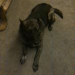 Profile Picture of Tyler James Webb (@felling_like27) on Instagram