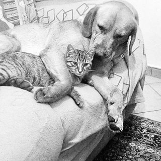 Profile Picture of Paolo Pieretti (@paolo.pieretti.5) on Facebook