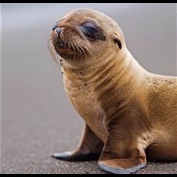 Profile Picture of Mari Jimenez (@mari3042) on Poshmark