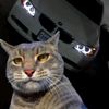 Profile Picture of Миша Кеслер (@misha.kesler) on Tiktok