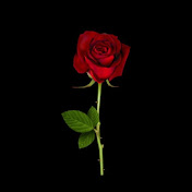 VIBES BY SIMMI - Youtube Profile Picture of VIBES BY SIMMI (@vibesbysimmi) on Youtube