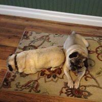 Profile Picture of David W. Moberly (@david-w-moberly) on Quora