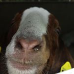 Profile Picture of Daniel Haines (@haines.daniel.w) on Instagram
