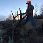 Profile Picture of Amanda Treese (@amanda_treese) on Instagram