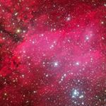 Noah Franklin - Instagram Profile Picture of Noah Franklin (@buck_1050) on Instagram