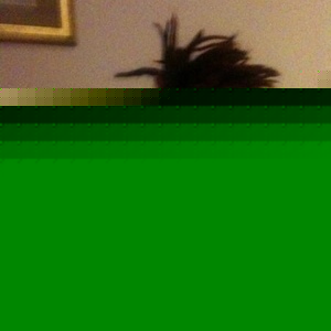 Profile Picture of Alex Debartolis (@351790024) on Myspace