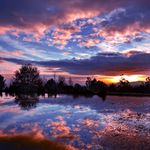 Profile Picture of Tina Stanford (@tstanford362) on Instagram