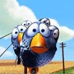 Profile Picture of Bruce Caldwell (@brucecaldwellglasgow) on Instagram