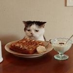 Profile Picture of Cheng Hung Dony (@donycheng) on Instagram