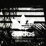 Profile Picture of Toby Terry (@toby_terry_01) on Instagram