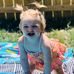 Profile Picture of Tammy Engle (@tammy.engle.71) on Facebook