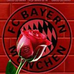 Profile Picture of Daniel Erben (@erben_daniel) on Instagram