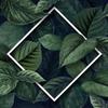 Profile Picture of Braulio Arellano (@@braulioarellano2) on Tiktok