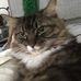Profile Picture of Barbara Manning (@barbara.manning.9883) on Facebook