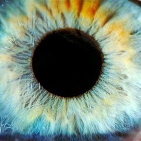 Profile Picture of Piedmont Eye Care (@mikeeye1) on Pinterest