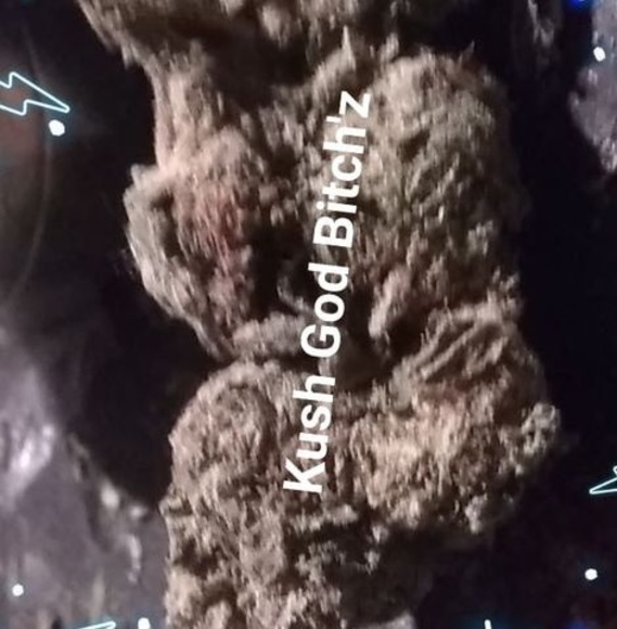 Profile Picture of Derrell Bogan (@rellyrellbogan) on Poshmark