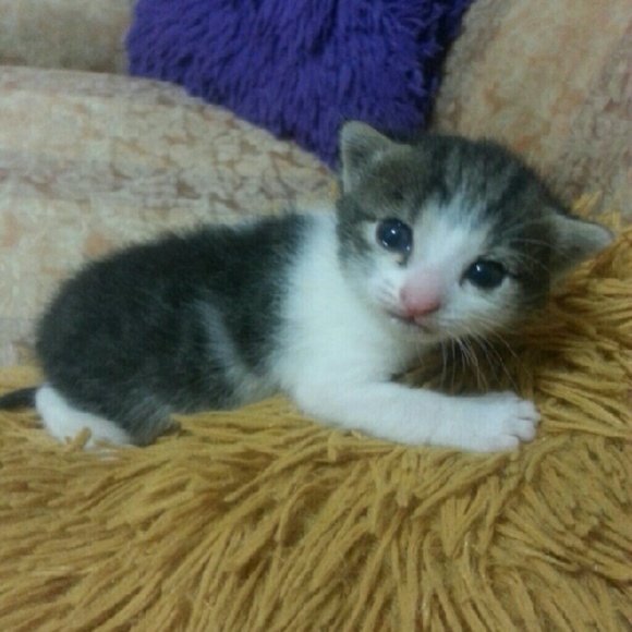 Profile Picture of Robin Flores (@malave_robin) on Poshmark