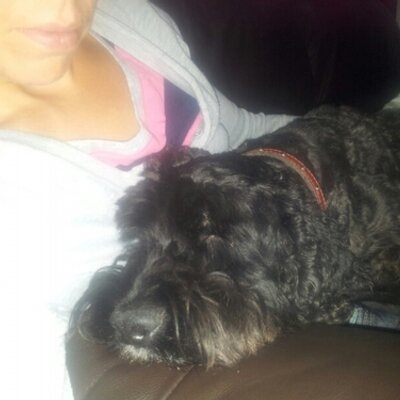 Profile Picture of Kate Fryer (@fryzy27) on Twitter