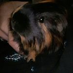 Chuck_chuck_nelson - Instagram Profile Picture of Chuck_chuck_nelson (@chuck_chuck_05) on Instagram