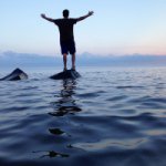 Profile Picture of Alex Giuliani (@argiuliani14) on Instagram