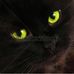 Profile Picture of Carlos Berrones (@carlos.berrones.790) on Facebook