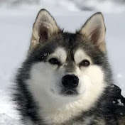 Corbin Barker - Youtube Profile Picture of Corbin Barker (@CorbinBarker-v1g) on Youtube