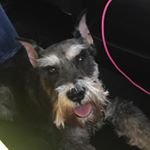 Profile Picture of Luis Longoria (@luisdelcabo) on Instagram