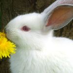 Profile Picture of Laura.ledenko@gmail.com (@laura.ledenkogmail.com4) on Instagram