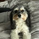 Profile Picture of James P Cavachon (@jamespcavachon) on Instagram