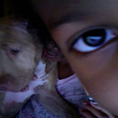 Sir Edward Haskin - Twitter Profile Picture of Sir Edward Haskin (@siredwardhaskin) on Twitter