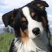 Profile Picture of ~clive~ (@clivesteele837) on Pinterest
