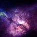 Profile Picture of Robin Jevický (@jevickyrobin) on Pinterest