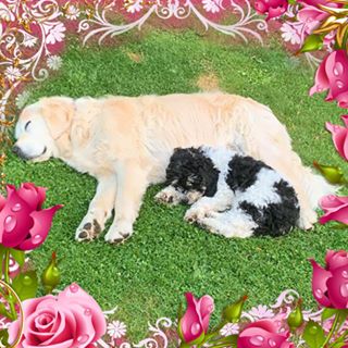 Profile Picture of Karen Curtis (@karen.curtis.9615) on Facebook
