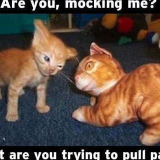 Profile Picture of Benjamin Hurston (@benjamin.hurston) on Facebook