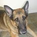 Profile Picture of George Moehring (@George-Moehring) on Facebook
