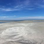 Profile Picture of Adam Draisen (@adamdraisen) on Instagram