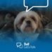 Profile Picture of Pam Arsenault (@Pam-Arsenault) on Facebook