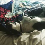 Profile Picture of danny (@26schraderdaniel) on Instagram
