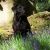 Profile Picture of Paul Stenson (@paulstenson357) on Pinterest