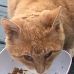 Profile Picture of Robin Allen (@robin7784) on Instagram